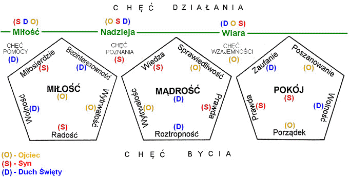 Ziarno dobra - cechy T